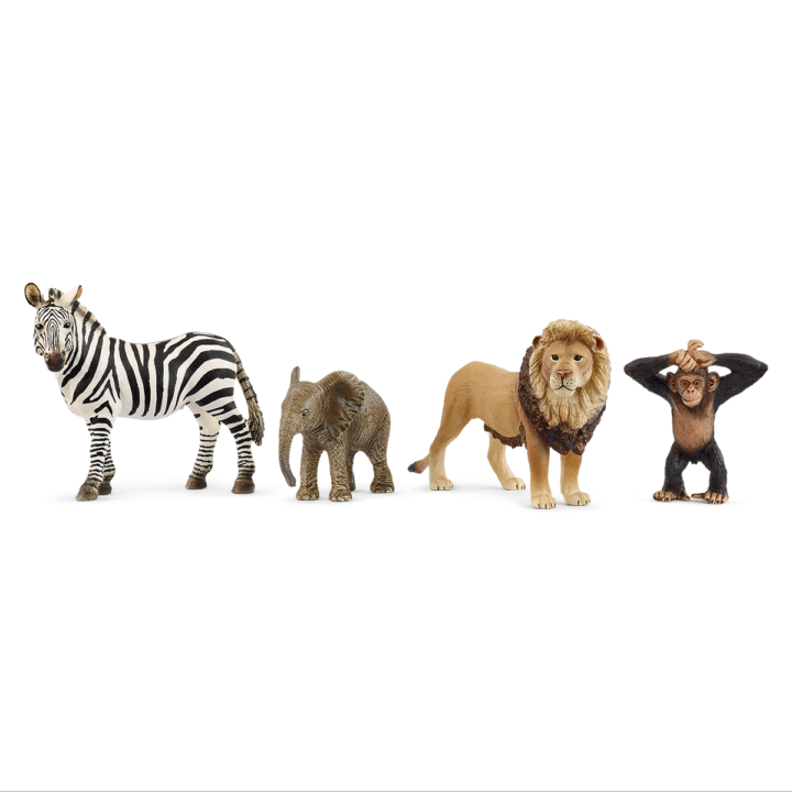 Schleich Wild Life Afrika Starter-Set